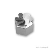 Geschenkverpackung silber