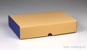 VARIO COLOR Klappdeckelbox 35