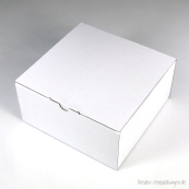 Klappdeckelbox 215 - Größe 01