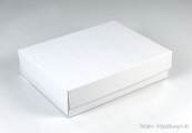 Klappdeckelbox 216 - Größe 05 weiß