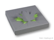 Fantasy-Verpackung Blatt in grau