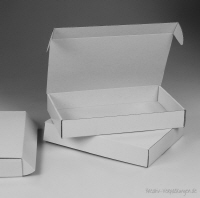 Karton Klappdeckelbox 212