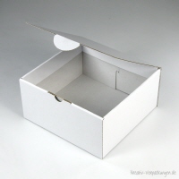 Klappdeckelbox 215 - Größe 01 weiß offen