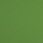 Kartonfarbe hellgrün