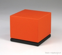 Exklusive Würfelbox